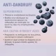 Schwarzkopf Bonacure Anti-Dandruff Serum 100ml Schwarzkopf Bonacure Anti-Dandruff Serum 100ml