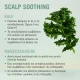 Schwarzkopf Serum κατά της Ξηροδερμίας για Ξηρά Μαλλιά 100ml Schwarzkopf Serum κατά της Ξηροδερμίας για Ξηρά Μαλλιά 100ml
