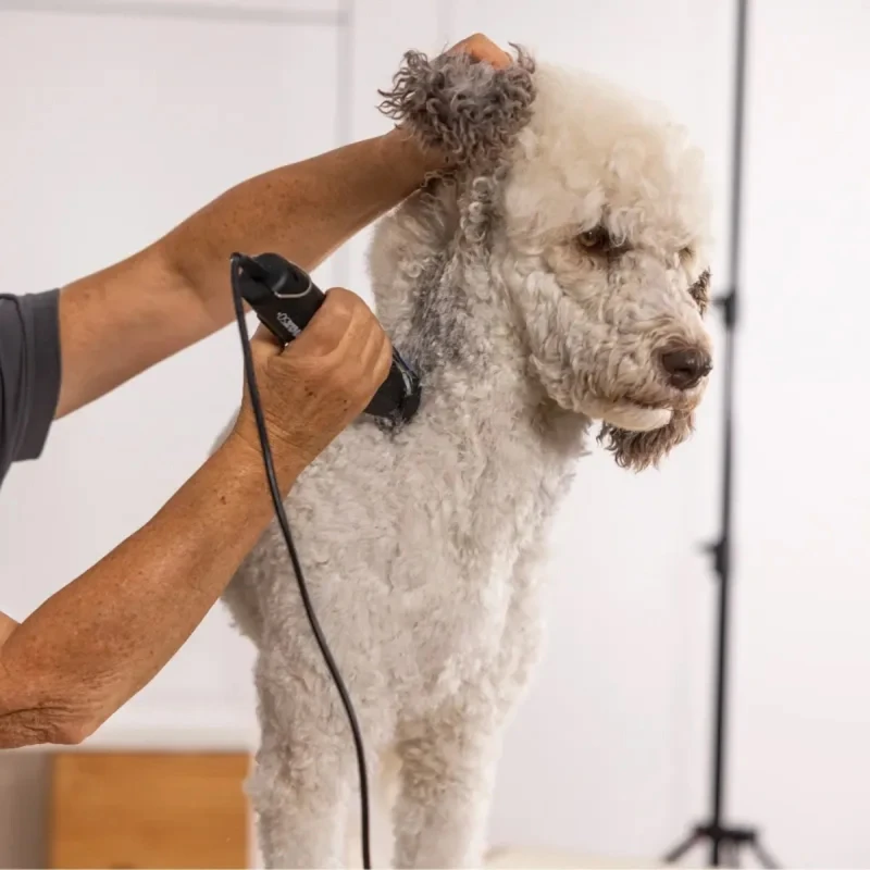 WAHL PET MAX50+  Επαγγελματική Κουρευτική Μηχανή Ρεύματος για Κατοικίδια BLDC | 1.5 mm
