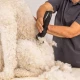 WAHL PET MAXGO Επαγγελματική Κουρευτική Μηχανή Επαναφορτιζόμενη για Κατοικίδια BLDC |