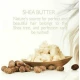Saryna Key Color Lasting Pure African Shea Butter Μάσκα Μαλλιών για Διατήρηση Χρώματος με Κερατίνη 300ml