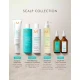 Moroccanoil Scalp Balancing Σαμπουάν Καθημερινής Χρήσης για Λιπαρά Μαλλιά 250ml Moroccanoil Scalp Balancing Σαμπουάν Καθημερινής Χρήσης για Λιπαρά Μαλλιά 250ml