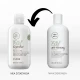 Paul Mitchell Tea Tree Scalp Care Regeniplex Shampoo 300ml Paul Mitchell Tea Tree Scalp Care Regeniplex Shampoo 300ml