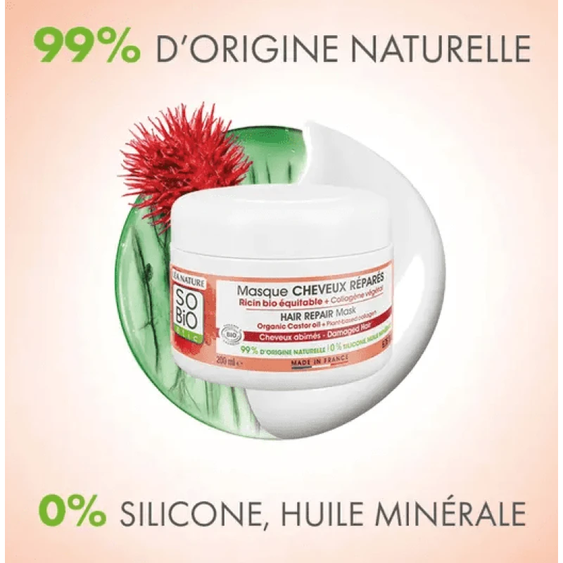 So Bio Etic | Μάσκα Μαλλιών Επανόρθωσης & Ενδυνάμωσης Για ταλαιπωρημένα και αδύναμα μαλλιά (200ml)
